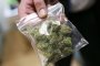 В Астрахани у пассажира автомобиля обнаружили 130 граммов марихуаны