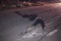 Водитель «Лады» насмерть сбил пешехода на трассе Астрахань – Зеленга