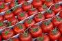 В Астраханской области задержаны  «газели» с помидорами из Ирана и мандаринами из Пакистана