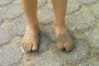 В Астрахани у торгового центра мужчина оставил ребенка без обуви