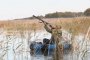 В сентябре в Астраханской области открывается сезон охоты на водоплавающую дичь