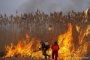 Пожар уничтожил несколько сотен гектаров камыша  в Астраханском биосферном заповеднике