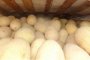 В Астраханскую область не пропустили 55 тонн картофеля и дынь из Казахстана