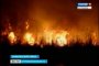В Астраханской области огонь угрожает заповеднику и низовым сёлам