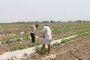 Астраханский Минсельхоз предлагает увеличить долю иностранцев для работы на полях