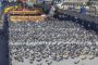Редкое зрелище сняли в Астрахани &#8212; полчище бесстрашных голубей не боится никого