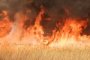 Астраханский депутат рассказал о дельте Волги, охваченной сотнями пожаров
