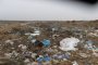 В Наримановском районе из-за свалок произошло загрязнение почв тяжёлыми металлами