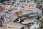 В Астрахани уничтожили опасную рыбу
